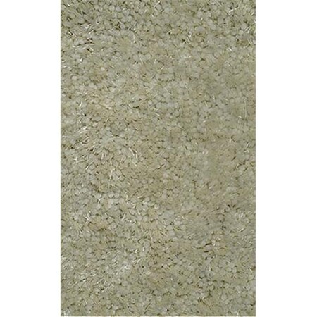 Super Shag Collection 39'' X 58'' Area Rug